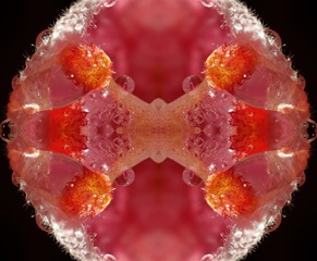 P3137279Kal1.jpg